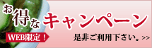 WEB限定!お得なキャンペーン 是非ご利用下さい。